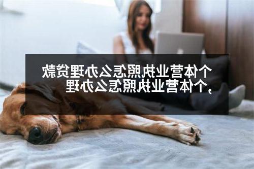 个体营业执照怎么办理贷款,个体营业执照怎么办理