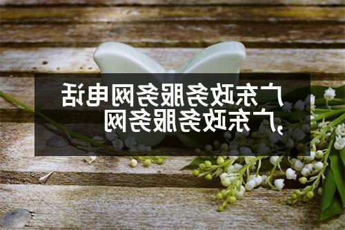 广东政务服务网电话,广东政务服务网