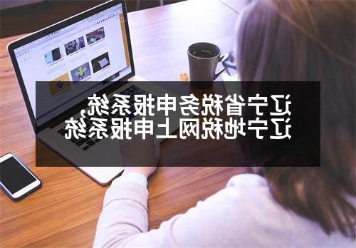 辽宁省税务申报系统,辽宁地税网上申报系统