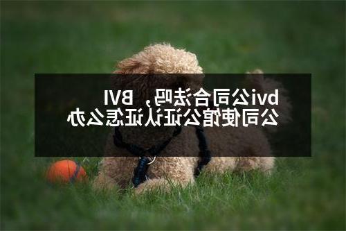 bvi公司合法吗，BVI公司使馆公证认证怎么办