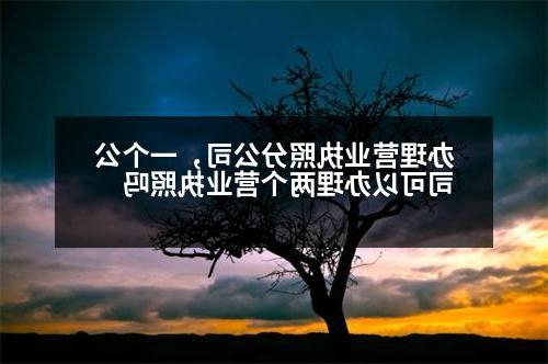 办理营业执照分公司，一个公司可以办理两个营业执照吗