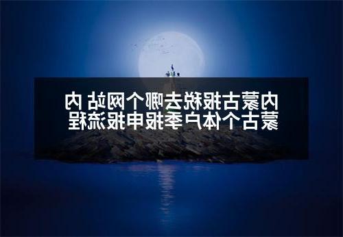 内蒙古报税去哪个网站 内蒙古个体户季报申报流程