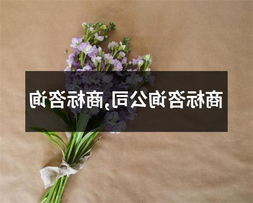 商标咨询公司,商标咨询