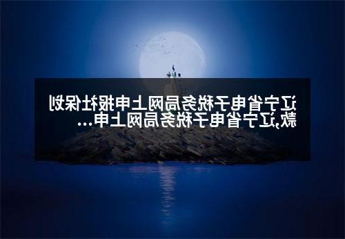 辽宁省电子税务局网上申报社保划款,辽宁省电子税务局网上申报