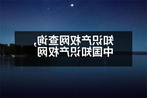 知识产权网查询,中国知识产权网