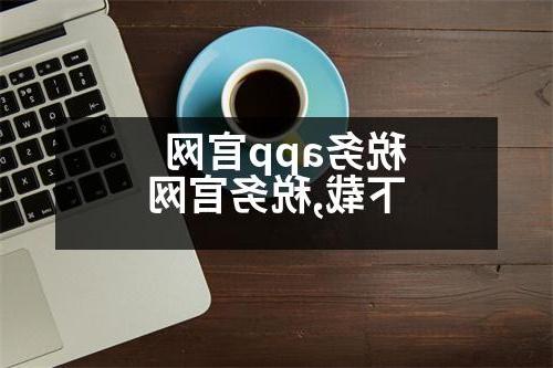 税务app官网下载,税务官网