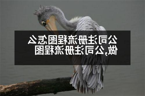 公司注册流程图怎么做,公司注册流程图