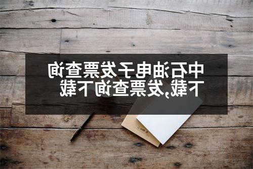 中石油电子发票查询下载,发票查询下载