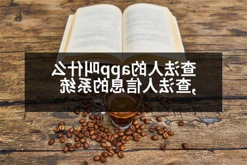 查法人的app叫什么,查法人信息的系统