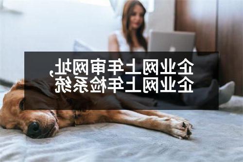 企业网上年审网址,企业网上年检系统