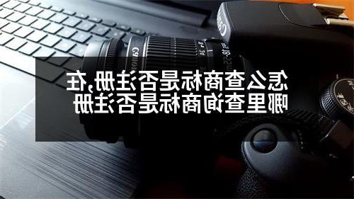 怎么查商标是否注册,在哪里查询商标是否注册