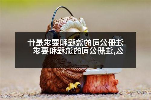 威尼斯人直营的流程和要求是什么,威尼斯人直营的流程和要求