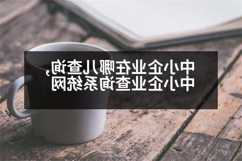 中小企业在哪儿查询,中小企业查询系统网