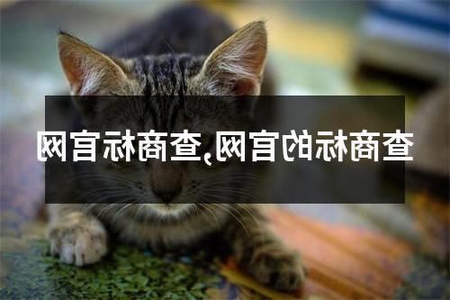 查商标的官网,查商标官网