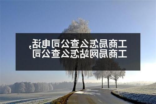 工商局怎么查公司电话,工商局网站怎么查公司