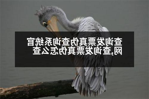 查询发票真伪查询系统官网,查询发票真伪怎么查