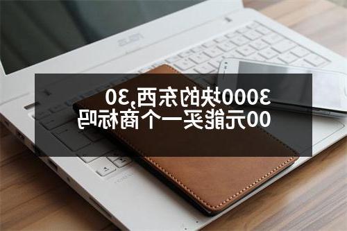 3000块的东西,3000元能买一个商标吗