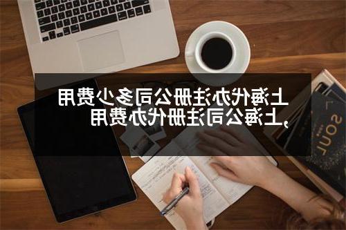 上海代办威尼斯人直营多少费用,上海公司注册代办费用