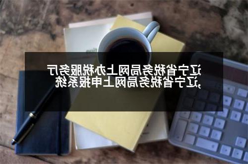 辽宁省税务局网上办税服务厅,辽宁省税务局网上申报系统