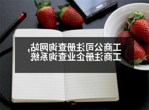 工商公司注册查询网站,工商注册企业查询系统