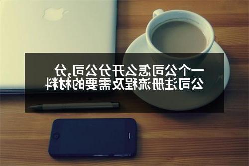 一个公司怎么开分公司,分公司注册流程及需要的材料