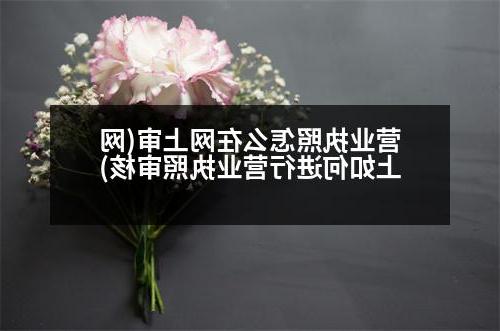 营业执照怎么在网上审(网上如何进行营业执照审核)