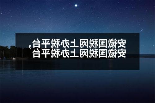 安徽国税网上办税平台,安徽国税网上办税平台