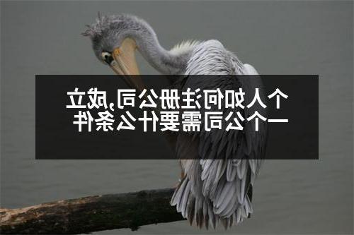 个人如何威尼斯人直营,成立一个公司需要什么条件