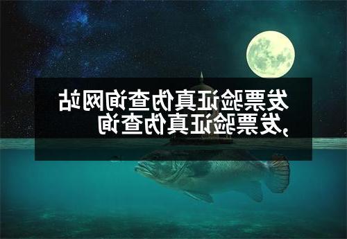 发票验证真伪查询网站,发票验证真伪查询