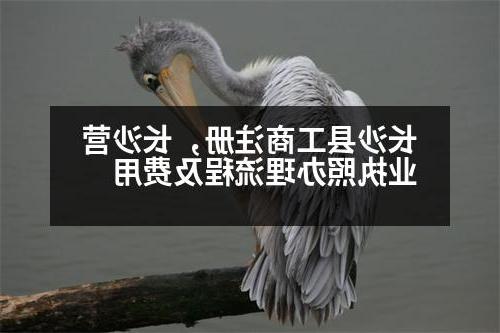 长沙县工商注册，长沙营业执照办理流程及费用