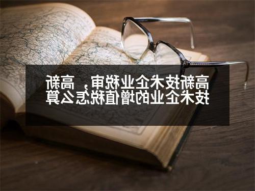 高新技术企业税审，高新技术企业的增值税怎么算